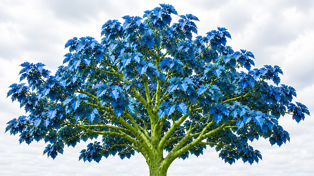 tree with green branches and blue leaves, analogy metaphor for principles and rules.